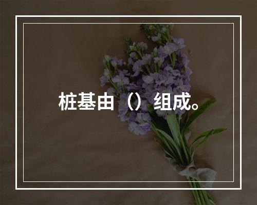 桩基由（）组成。