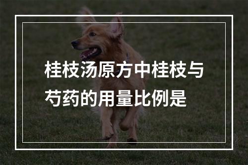 桂枝汤原方中桂枝与芍药的用量比例是