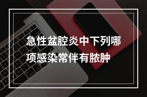 急性盆腔炎中下列哪项感染常伴有脓肿