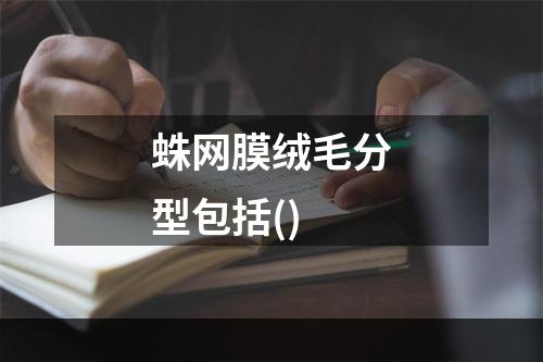 蛛网膜绒毛分型包括()