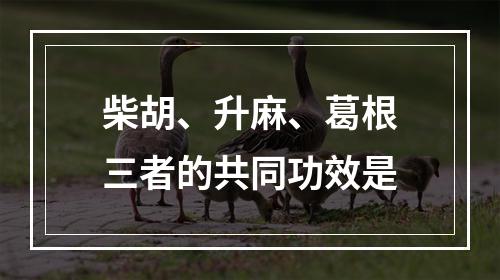 柴胡、升麻、葛根三者的共同功效是