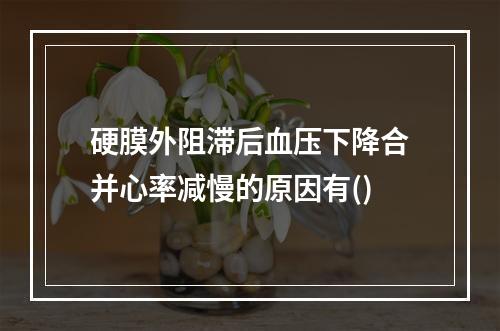 硬膜外阻滞后血压下降合并心率减慢的原因有()