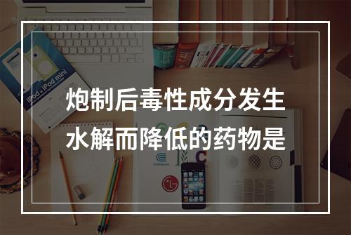 炮制后毒性成分发生水解而降低的药物是