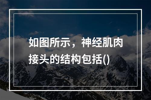 如图所示，神经肌肉接头的结构包括()