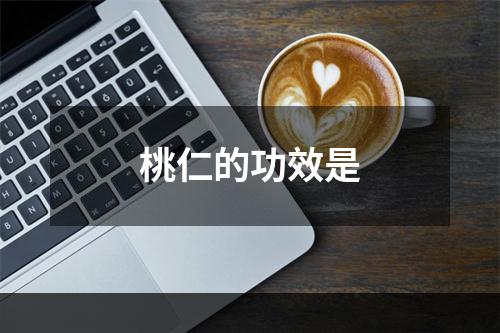 桃仁的功效是