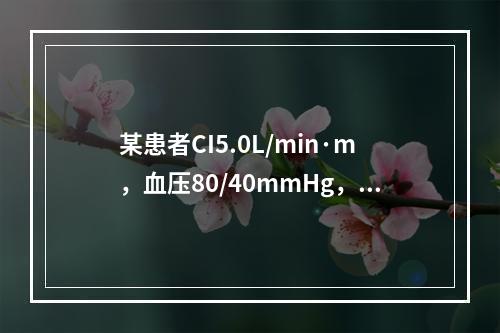 某患者CI5.0L/min·m，血压80/40mmHg，最可