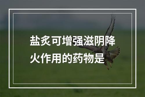 盐炙可增强滋阴降火作用的药物是