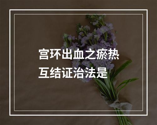 宫环出血之瘀热互结证治法是