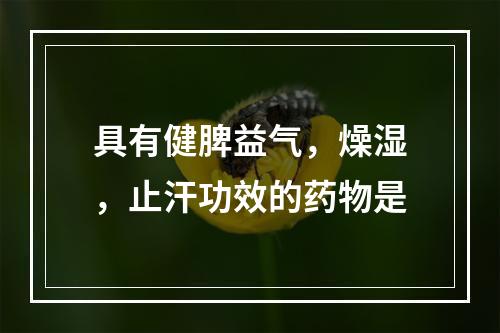 具有健脾益气，燥湿，止汗功效的药物是