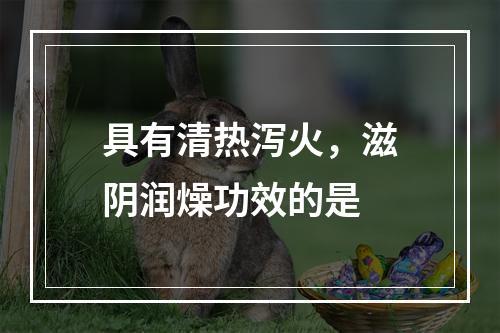 具有清热泻火，滋阴润燥功效的是