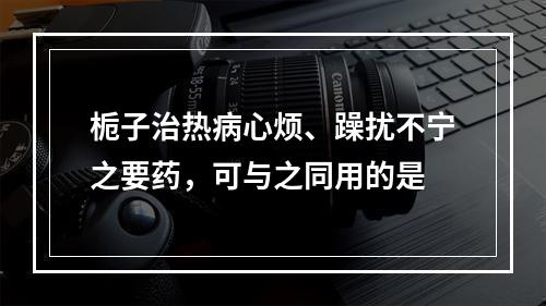 栀子治热病心烦、躁扰不宁之要药，可与之同用的是