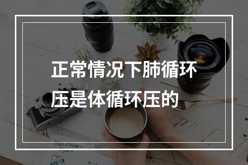 正常情况下肺循环压是体循环压的