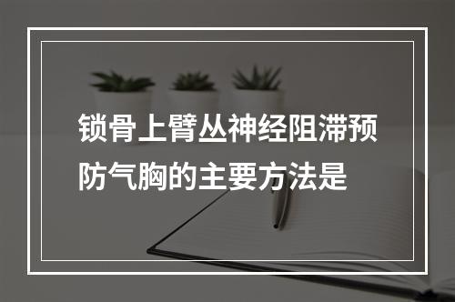 锁骨上臂丛神经阻滞预防气胸的主要方法是