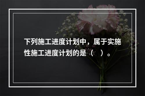 下列施工进度计划中，属于实施性施工进度计划的是（　）。