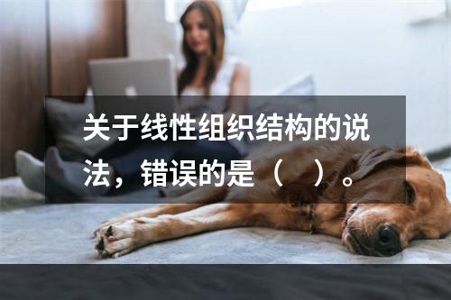 关于线性组织结构的说法，错误的是（　）。