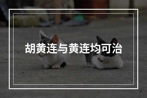 胡黄连与黄连均可治