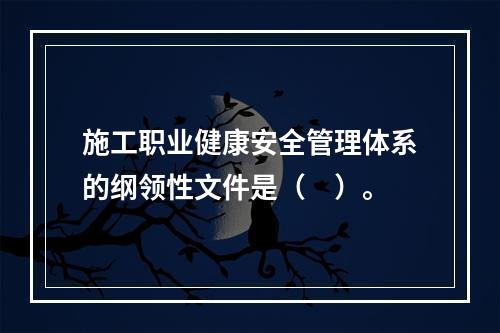 施工职业健康安全管理体系的纲领性文件是（　）。