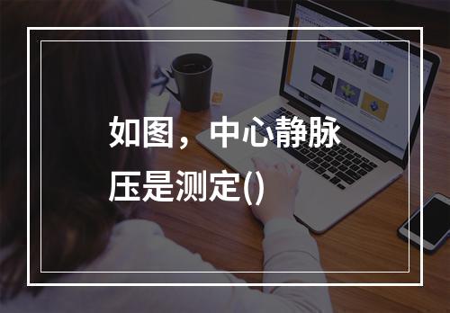 如图，中心静脉压是测定()