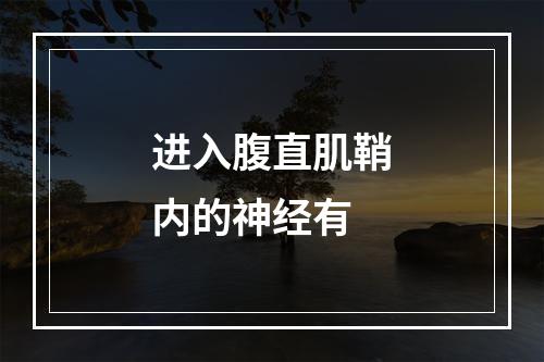 进入腹直肌鞘内的神经有