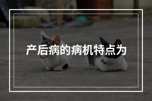 产后病的病机特点为