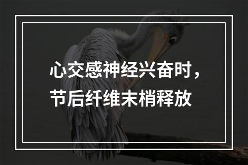 心交感神经兴奋时，节后纤维末梢释放