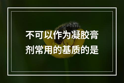 不可以作为凝胶膏剂常用的基质的是