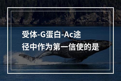 受体-G蛋白-Ac途径中作为第一信使的是