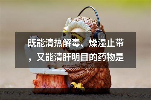 既能清热解毒、燥湿止带，又能清肝明目的药物是