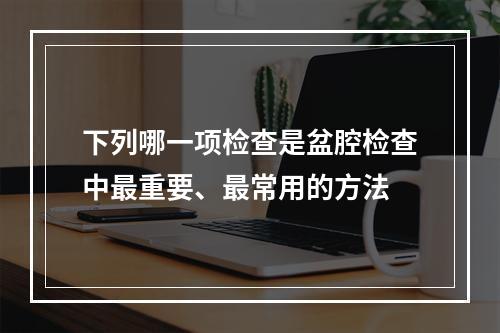 下列哪一项检查是盆腔检查中最重要、最常用的方法