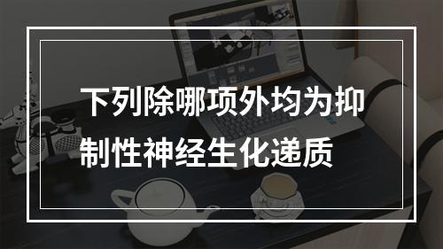 下列除哪项外均为抑制性神经生化递质