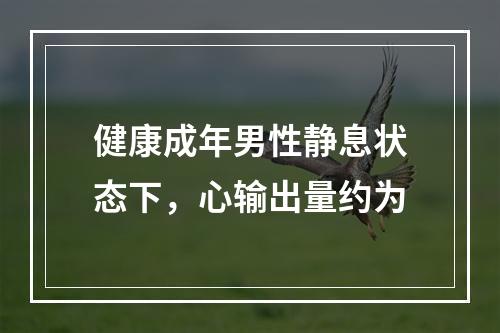 健康成年男性静息状态下，心输出量约为