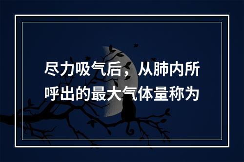 尽力吸气后，从肺内所呼出的最大气体量称为