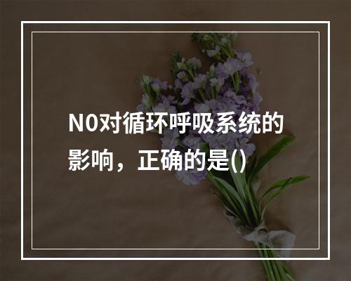 N0对循环呼吸系统的影响，正确的是()