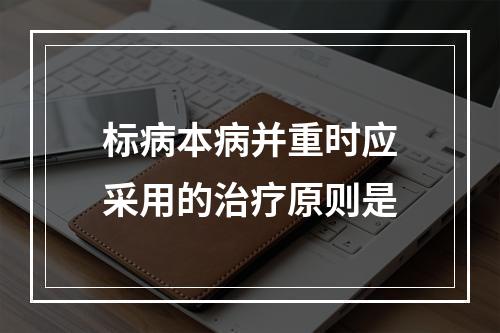 标病本病并重时应采用的治疗原则是