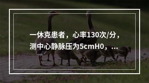 一休克患者，心率130次/分，测中心静脉压为5cmH0，采取