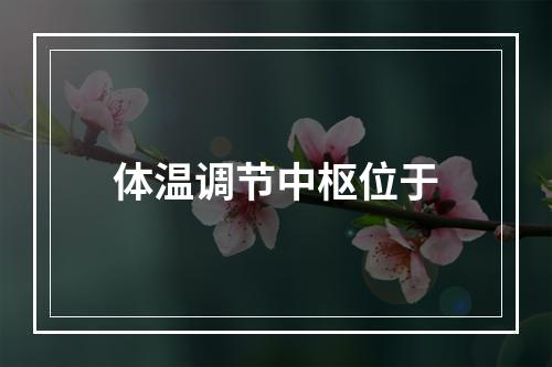 体温调节中枢位于