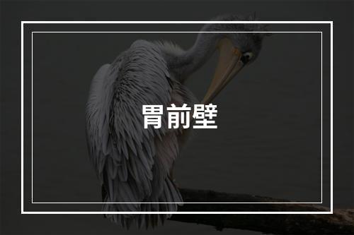 胃前壁