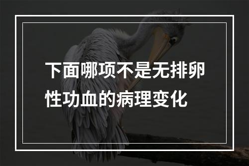 下面哪项不是无排卵性功血的病理变化