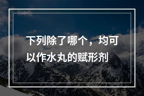 下列除了哪个，均可以作水丸的赋形剂