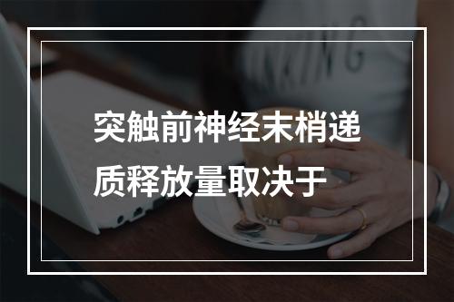 突触前神经末梢递质释放量取决于