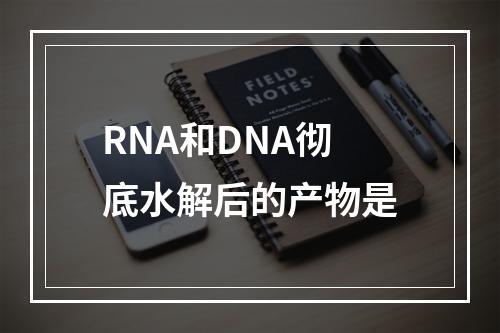 RNA和DNA彻底水解后的产物是