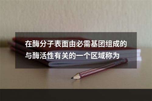 在酶分子表面由必需基团组成的与酶活性有关的一个区域称为