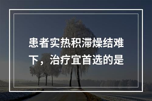 患者实热积滞燥结难下，治疗宜首选的是