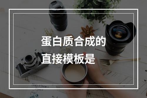 蛋白质合成的直接模板是