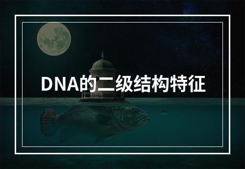 DNA的二级结构特征