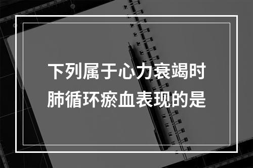 下列属于心力衰竭时肺循环瘀血表现的是