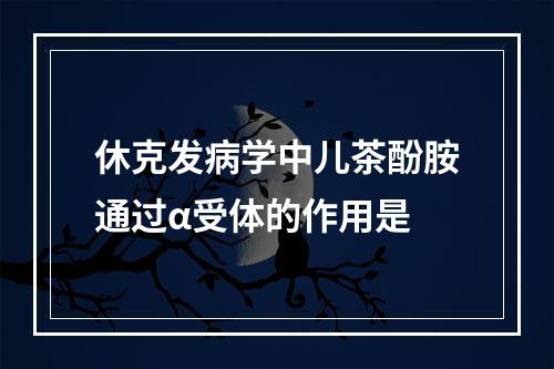 休克发病学中儿茶酚胺通过α受体的作用是