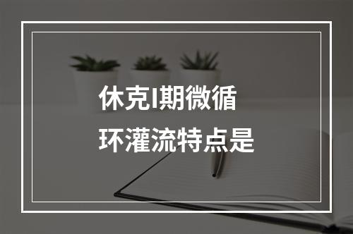 休克I期微循环灌流特点是