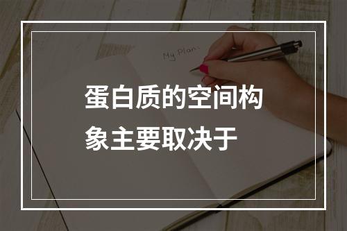 蛋白质的空间构象主要取决于