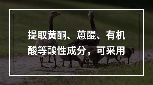 提取黄酮、蒽醌、有机酸等酸性成分，可采用